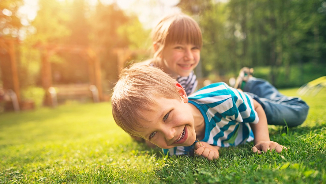 Cover photo of Lawn Doctor of Orange County NY